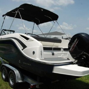 2020 Bayliner DX2200