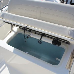 2020 Boston Whaler 170 Montauk