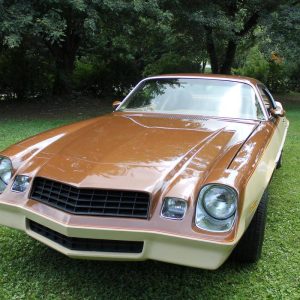 1979 Chevrolet Camaro Rally Sport